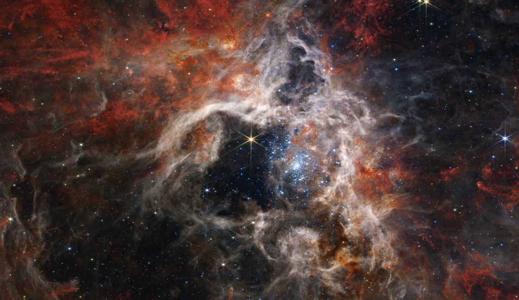 The James Webb Space Telescope has captured thousands of young stars in the Tarantula Nebula that have never been seen before. The telescope is unveiling details of the nebula's structure and composition, as well as dozens of background galaxies. The stellar nursery 30 Doradus got its nickname, the Tarantula Nebula, due to its long, dusty filaments. It is located in the Large Magellanic Cloud, and hosts the hottest and most massive stars known. The centre of this image, acquired by Webb's Near Infrared Camera (NIRCam) instrument, has been hollowed out by radiation from young, massive stars (seen in bright light blue). Only the densest surrounding regions of the nebula resist erosion, forming the pillars that appear to point back towards the star cluster at the centre. The pillars house stars still in the process of forming, which will eventually leave their dusty cocoons and contribute to the formation of the nebula. © NASA, ESA, CSA, STScI, Webb ERO Production Team